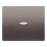 Tecla interruptor/conmut./cruzam. con visor acero Neptuno