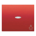 Tecla pulsador luz con visor cobre Jaipur