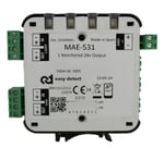 Módulo de entrada analógico, MAE-531 de Aguilera. 1 entrada