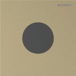 Sistema de descarga Geberit para urinarios, con accionamiento electrónico de la descarga, a red. Color latón