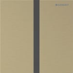 Sistema de descarga Geberit para urinarios, con accionamiento electrónico de la descarga, a red. Color latón / Cepillado