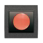 Piloto negro Ébano, serie Mega