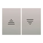 Tecla doble pulsador/interruptor persianas plata Luna