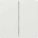 Tecla doble, referencia 5TG71451 de la serie/Style de BJC. Platino metalizado