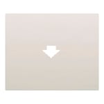 Placa tarjetero temporizado, referencia 18868 de las series Iris y Mega de BJC. Blanco