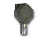 Detector ATEX 4-20mA con salida relé (amoníaco) de Aguilera electrónica
