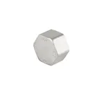 Tapa H hexagonal INOX rosca NPT 1/4