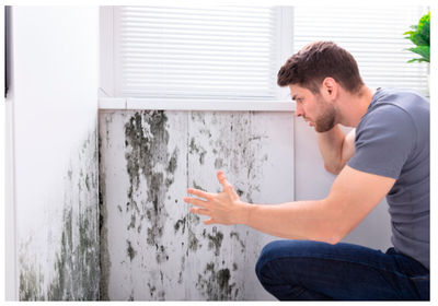 ¿Cómo solucionar los problemas de humedad en las paredes?