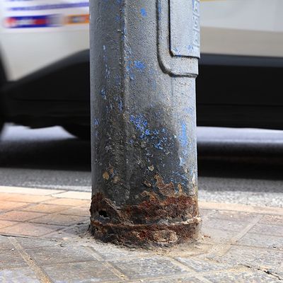 Columnas urbanas bajo ataque químico: el efecto de la orina canina en el alumbrado público