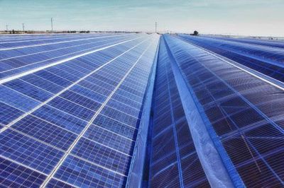 Trina Solar colabora en la creación de un invernadero fotovoltaico ecológico en Murcia