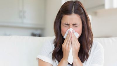 ¿Alergia a la humedad? El problema real son los hongos y ácaros que viven en las paredes