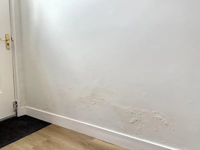 Trasdosado de pladur en paredes con humedad: claves para un acabado seguro