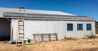 Secado solar de frutas del bosque y plantas aromáticas en Chile