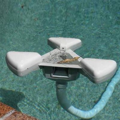 Dragonfly, el limpiador de piscinas sin mantenimiento que necesitas