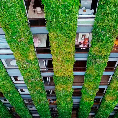 Paisajismo Urbano organiza el Curso Profesional de Jardines Verticales de Barcelona