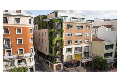 Nuevo jardín vertical de Paisajismo Urbano