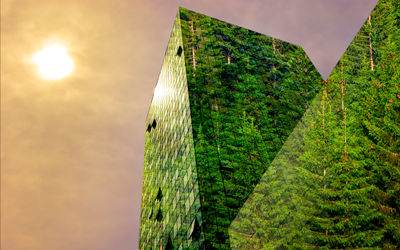 Arquitectura sostenible o "verde"