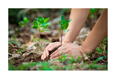 SVELT apuesta por el medio ambiente