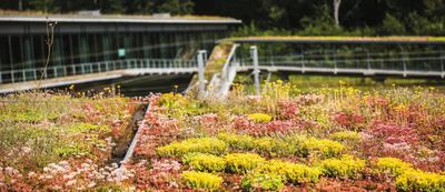SOPREMA combina cubiertas solares y vegetales para mejorar la eficiencia energética de los edificios