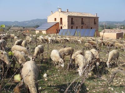 Climatización radiante REHAU en la rehabilitación de la Masía Can Gramunt