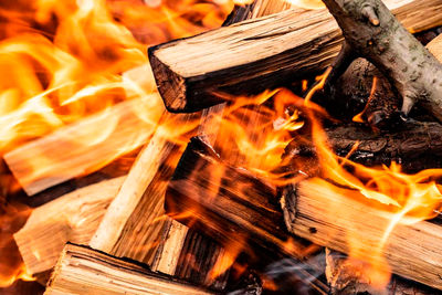 La revolución de la madera ignífuga, un salto hacia construcciones más seguras