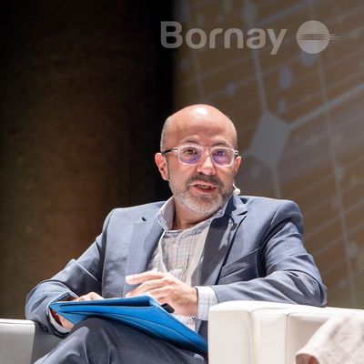 Bornay advierte que el colapso eléctrico no fue un fallo de la fotovoltaica, sino del sistema energético