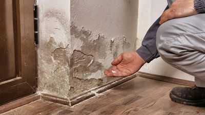 Qué es el salitre, por qué aparece en las paredes y cómo eliminarlo de forma definitiva