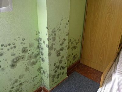 La calidad del aire en la habitación del bebé empieza por la humedad
