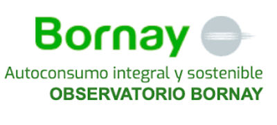 Bornay alerta sobre el aumento en la factura de luz en 2024, a pesar del impulso renovable