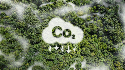 ANFAPA subraya el papel del SATE en la reducción masiva de emisiones de CO₂ en Europa