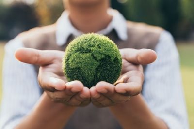 Grupo Flexicel obtiene la clasificación B de CDP por su compromiso ambiental en 2024