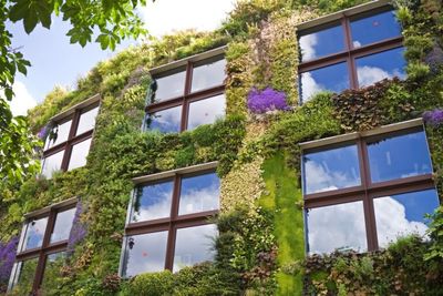 IPUR aborda las soluciones para reducir el sobrecalentamiento de los edificios