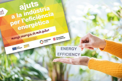 Flexicel mejora su eficiencia energética con una nueva línea de adhesivo hotmelt con apoyo del ICAEN