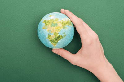 Flexicel mantiene su clasificación B en el desempeño ambiental de CDP en 2025